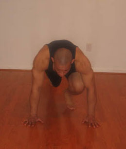 Mountain Climbers - Left leg forward