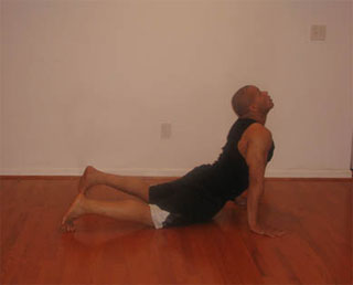 Judo Pushup - Finish Position