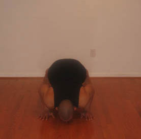 Judo Pushup - Mid