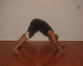 Judo Pushup - Start Position